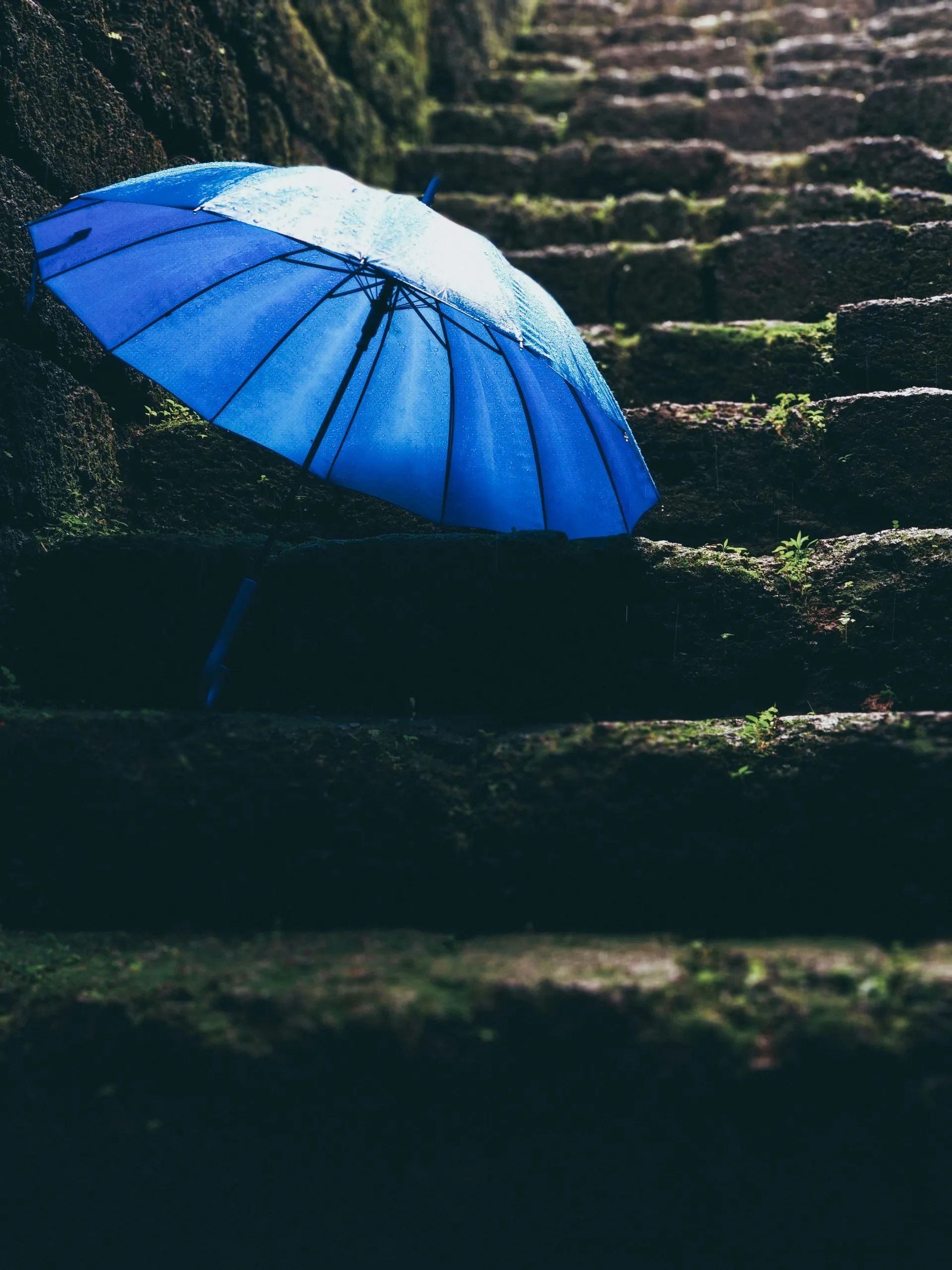 Blue and white umbrella on moss-covered stone stairs, outdoors.