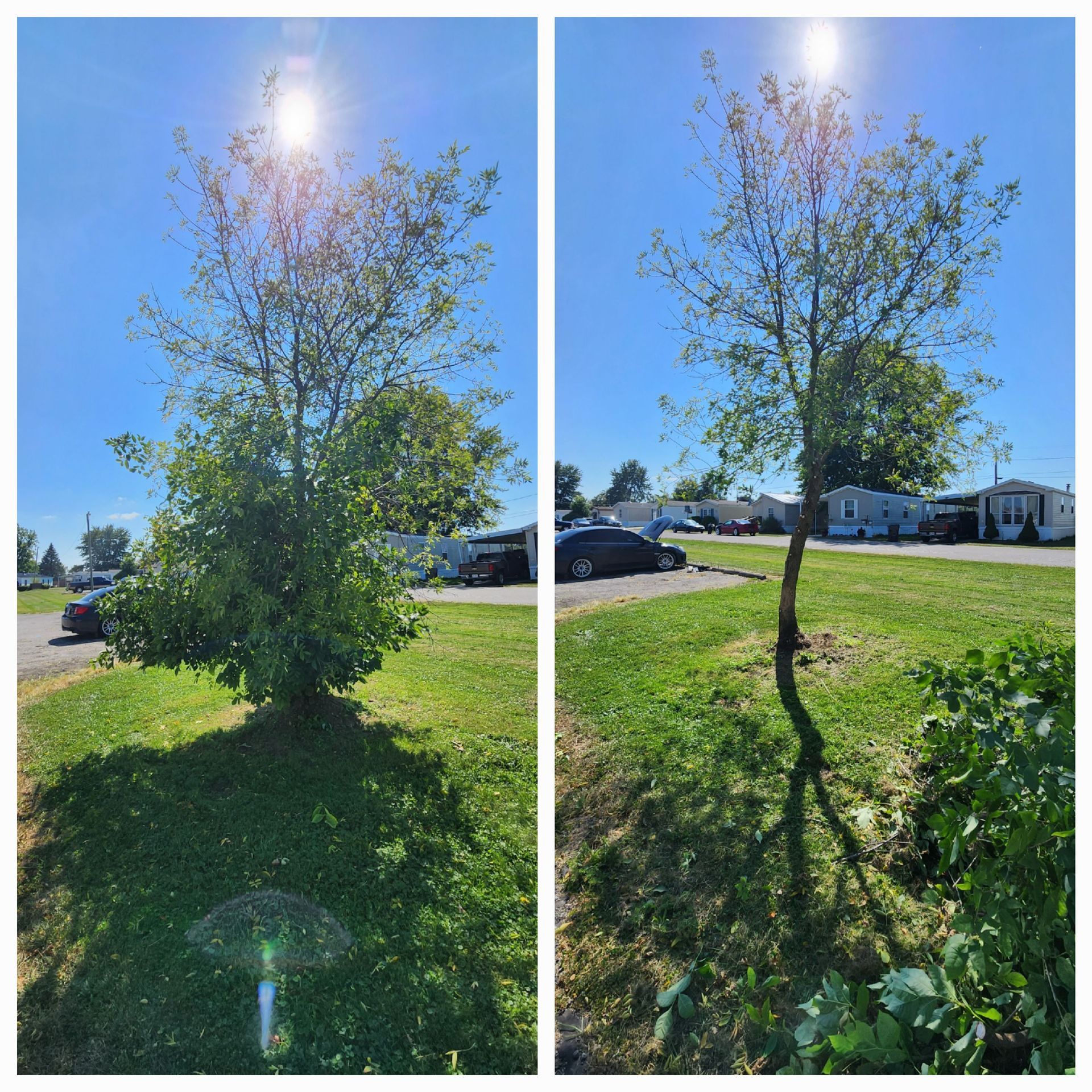 A man is cutting grass with a trimmer in the woods — Fort Wayne, IN — Spirit Forest Services