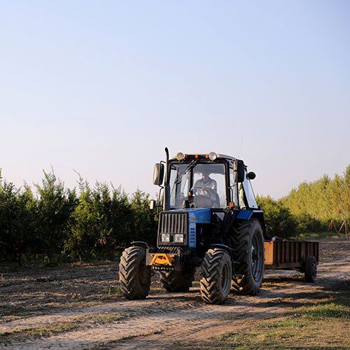 Agropecuaria Bermejo S.A.