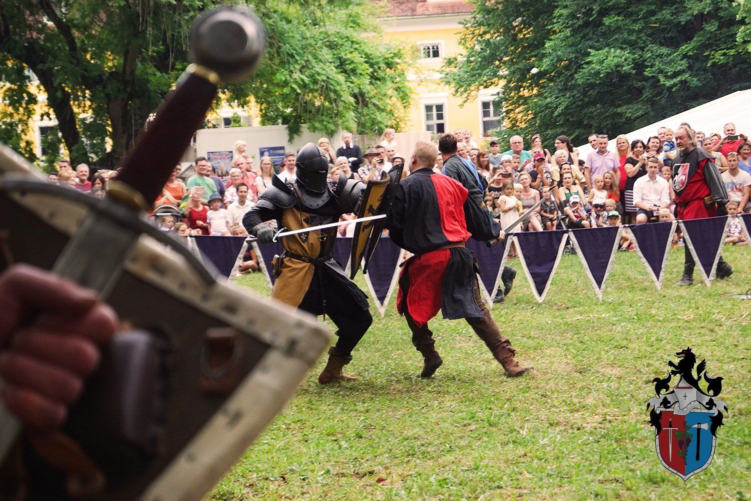 Securi et gladio - Schlossfest Poppendorf 2019