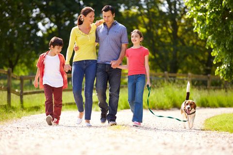Adoption — Family Taking Dog For Walk In Countryside in Missoula, MT