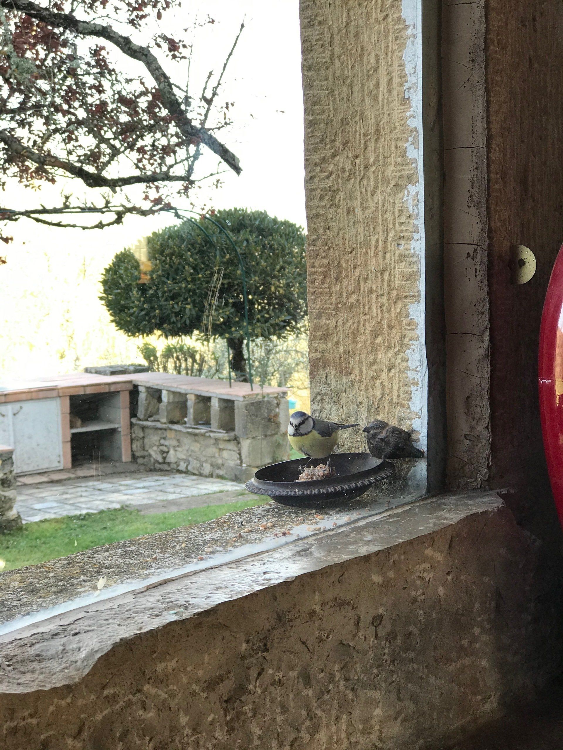 Le Domaine des Verdier (46)