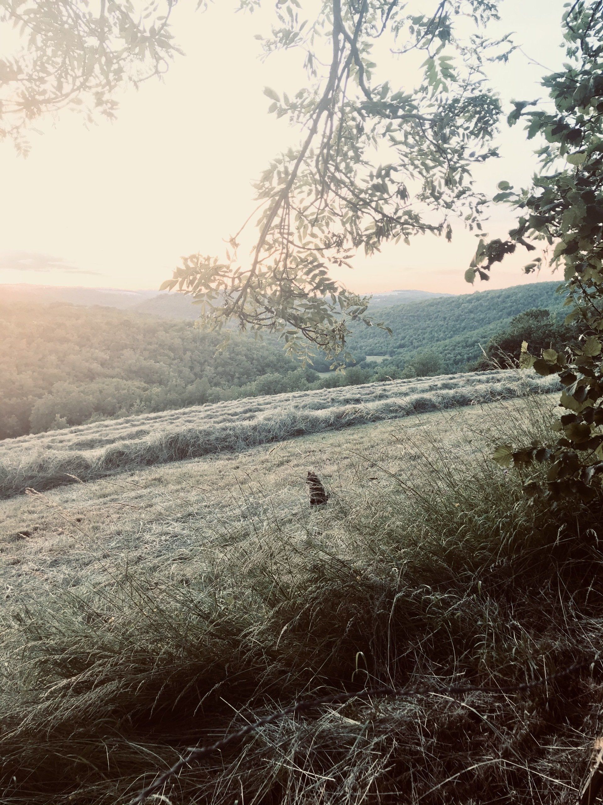 La magie au Domaine des Verdier (46)