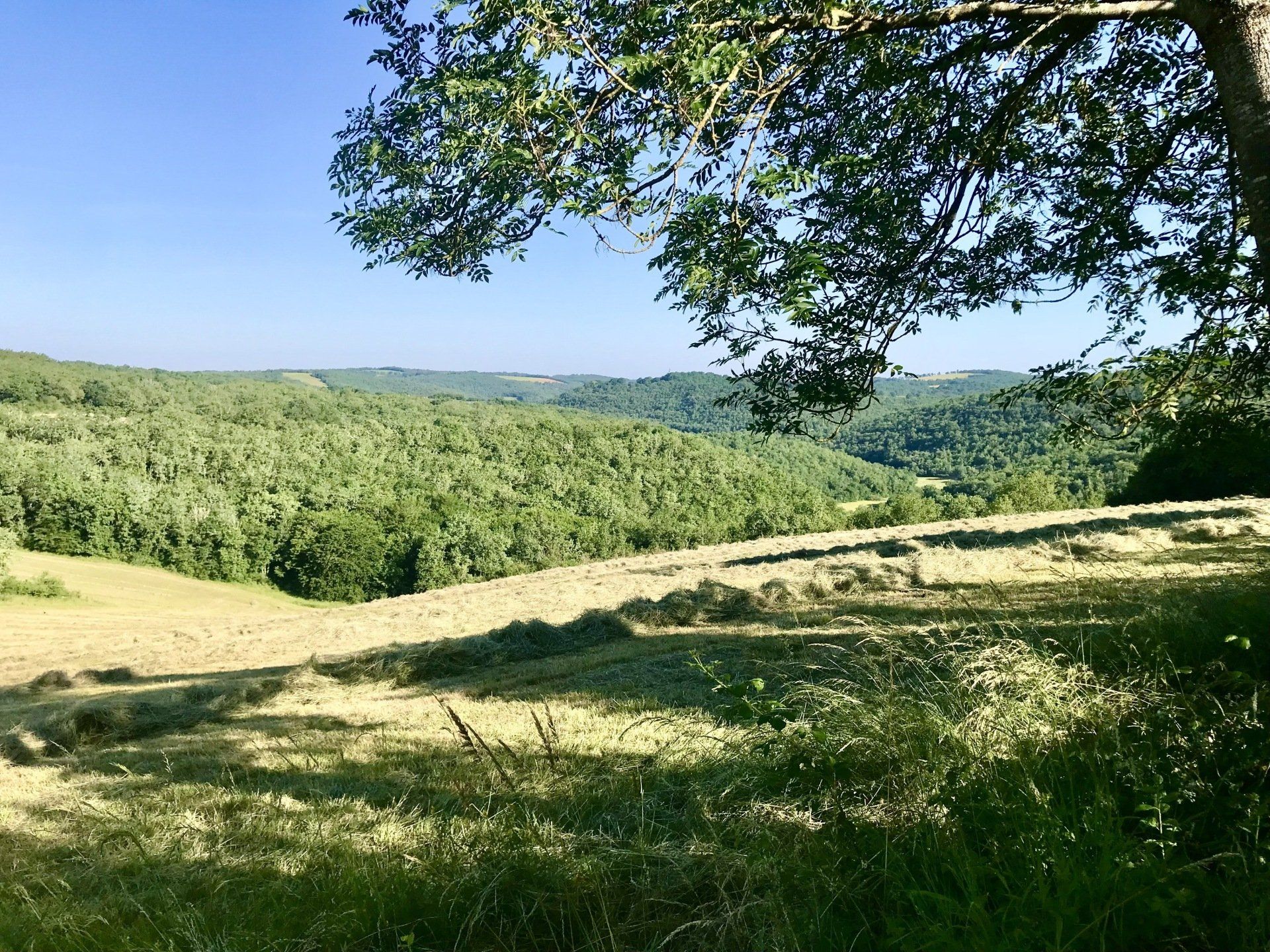 Les foins au Domaine des Verdier (46)