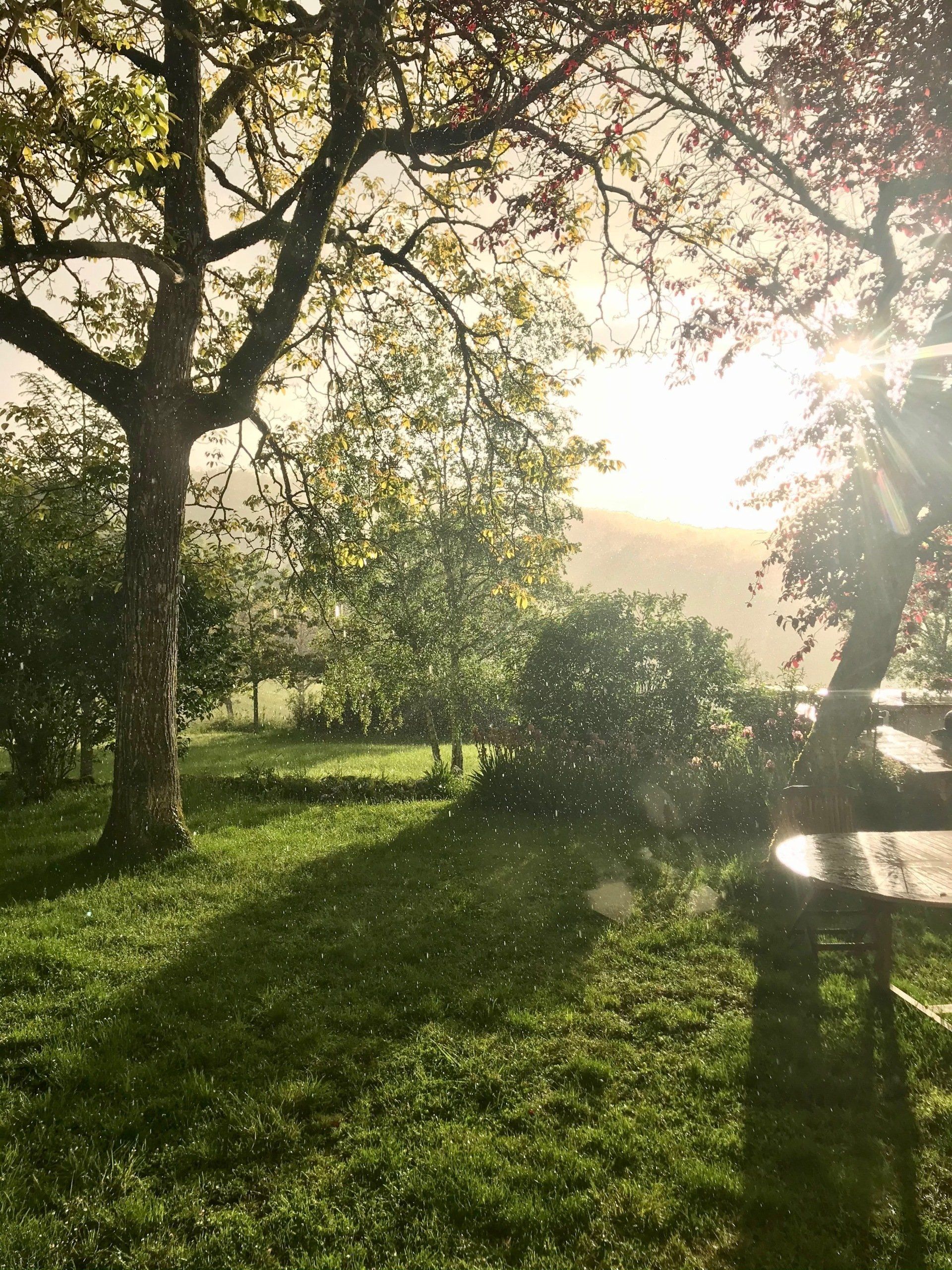 La magie au Domaine des Verdier (46)