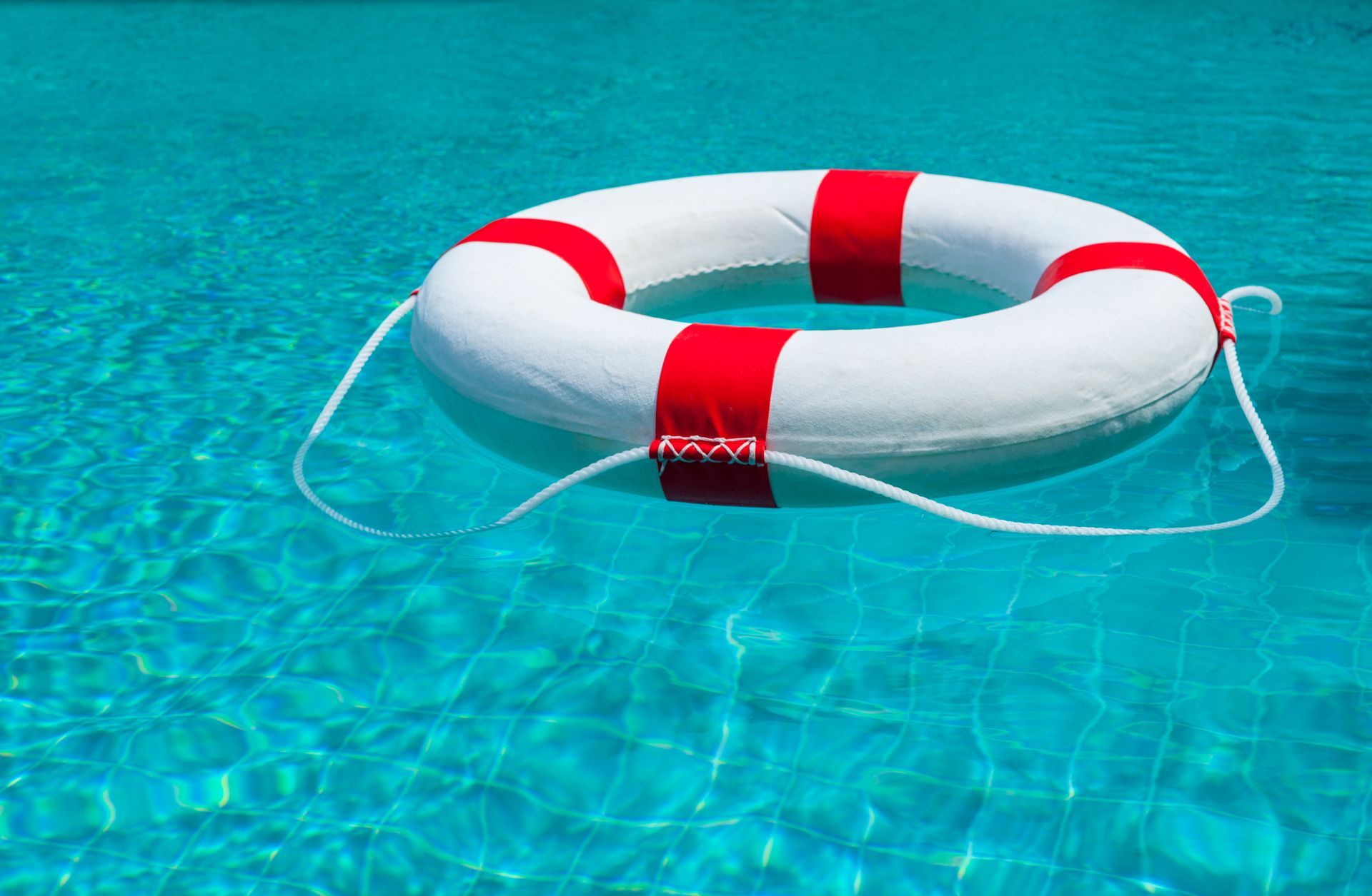 A life preserver is floating in a swimming pool.