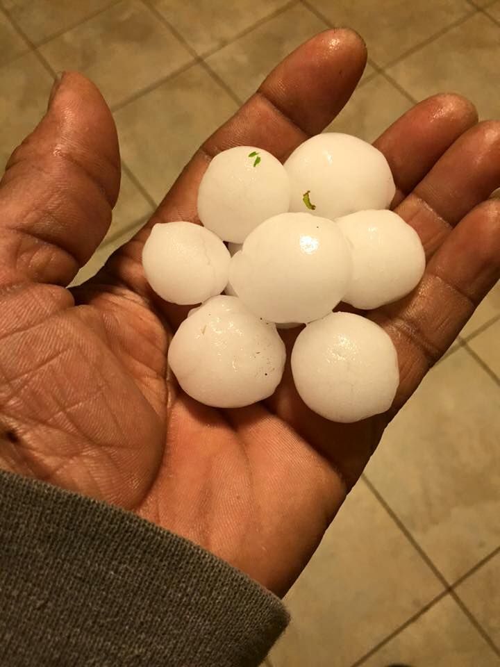 A photo of hailstones from the first storm in the Dallas area in 2016. 