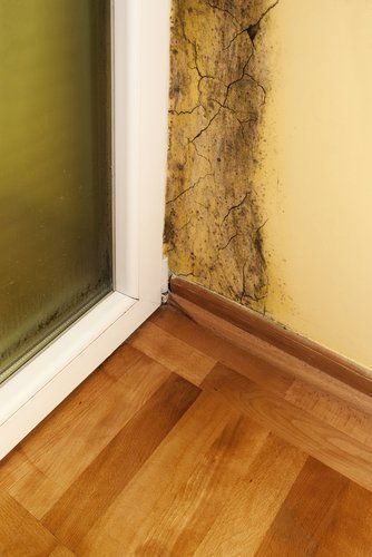 Mold and Water Damage on a Home Wall