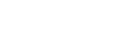 The Chicago Cruises