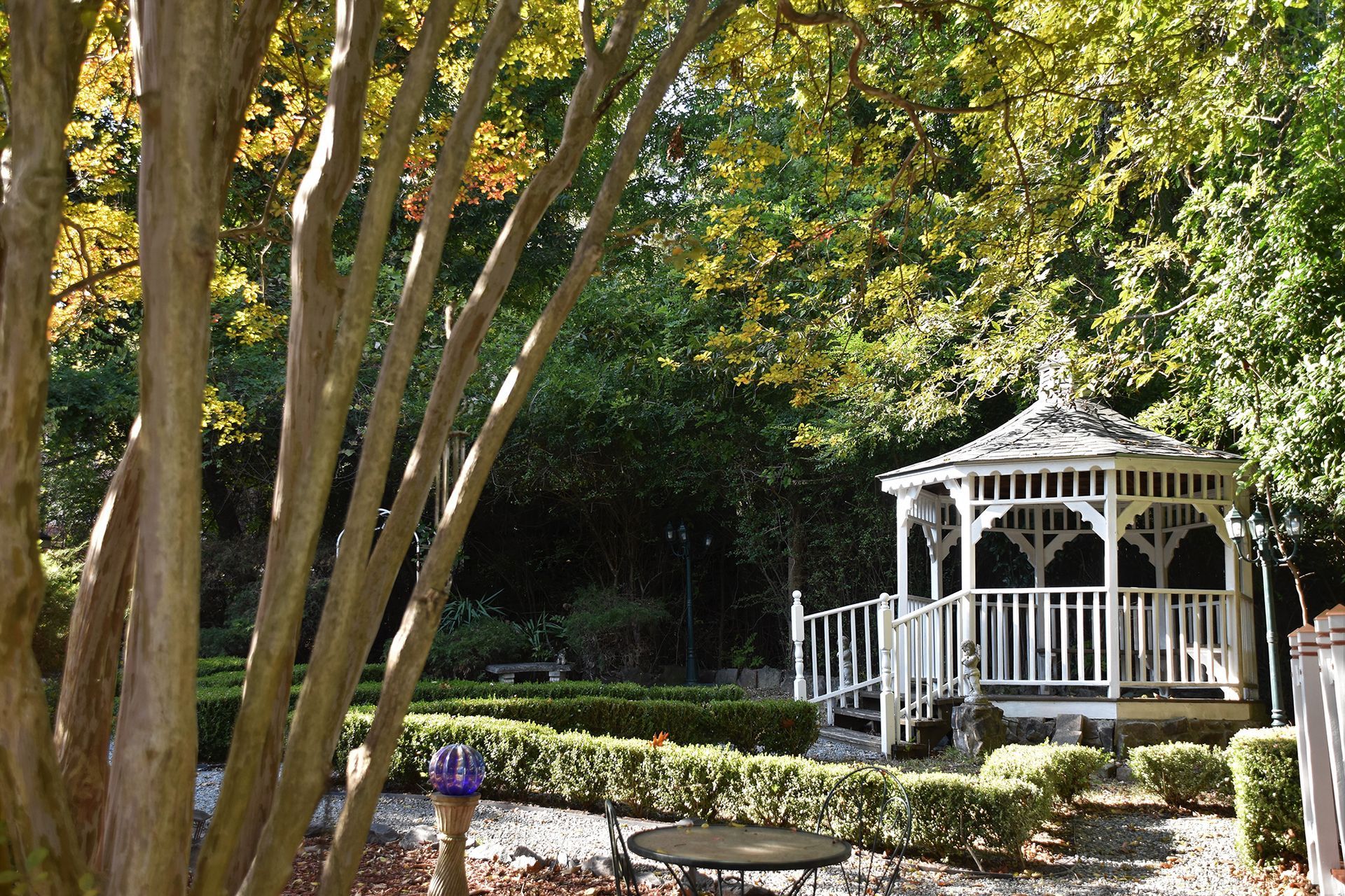 garden with a table and gazebo
