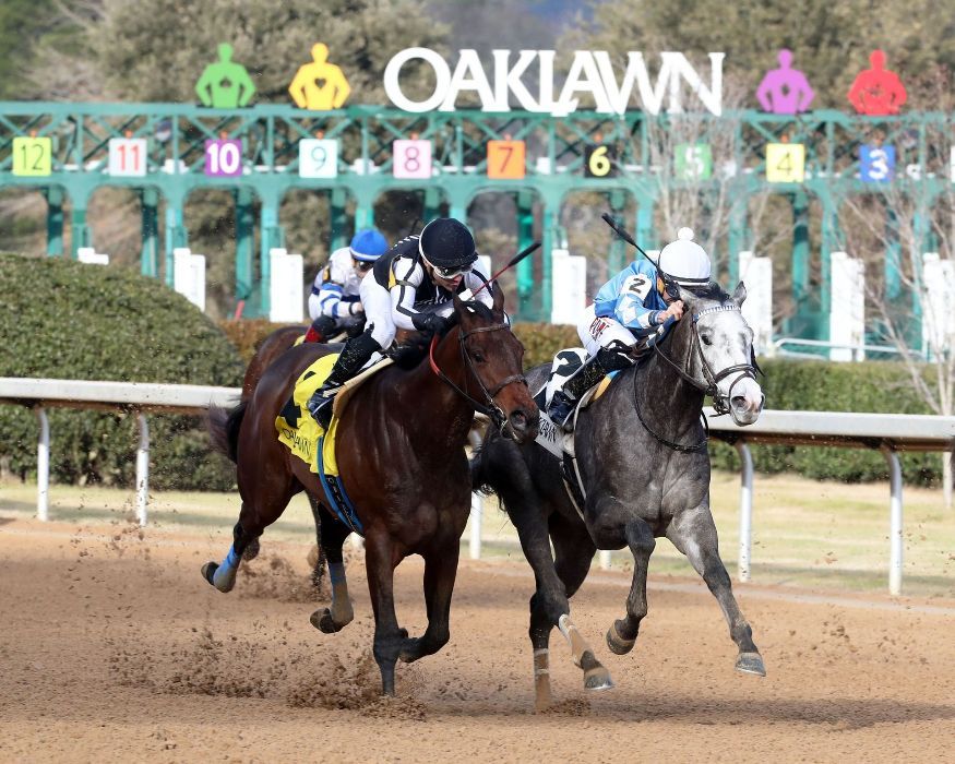 Racehorses at Oaklawn, jockey in black & gold leads, gray horse close behind, dirt track.