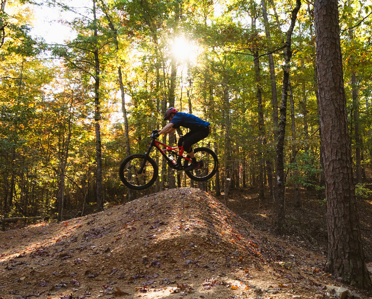 Mountain biker airborne over a dirt mound in a sunlit forest.