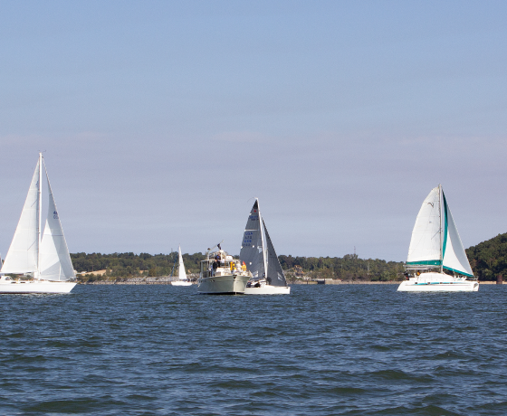 A group of sailboats are floating on a body of water