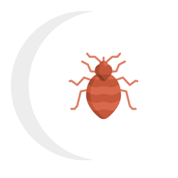 A bed bug is sitting on top of a white crescent moon.