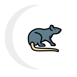 A rat with a long tail is sitting in a crescent moon.