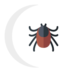 A tick is sitting on a white crescent moon.