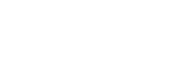 logo ladoinsa blanco