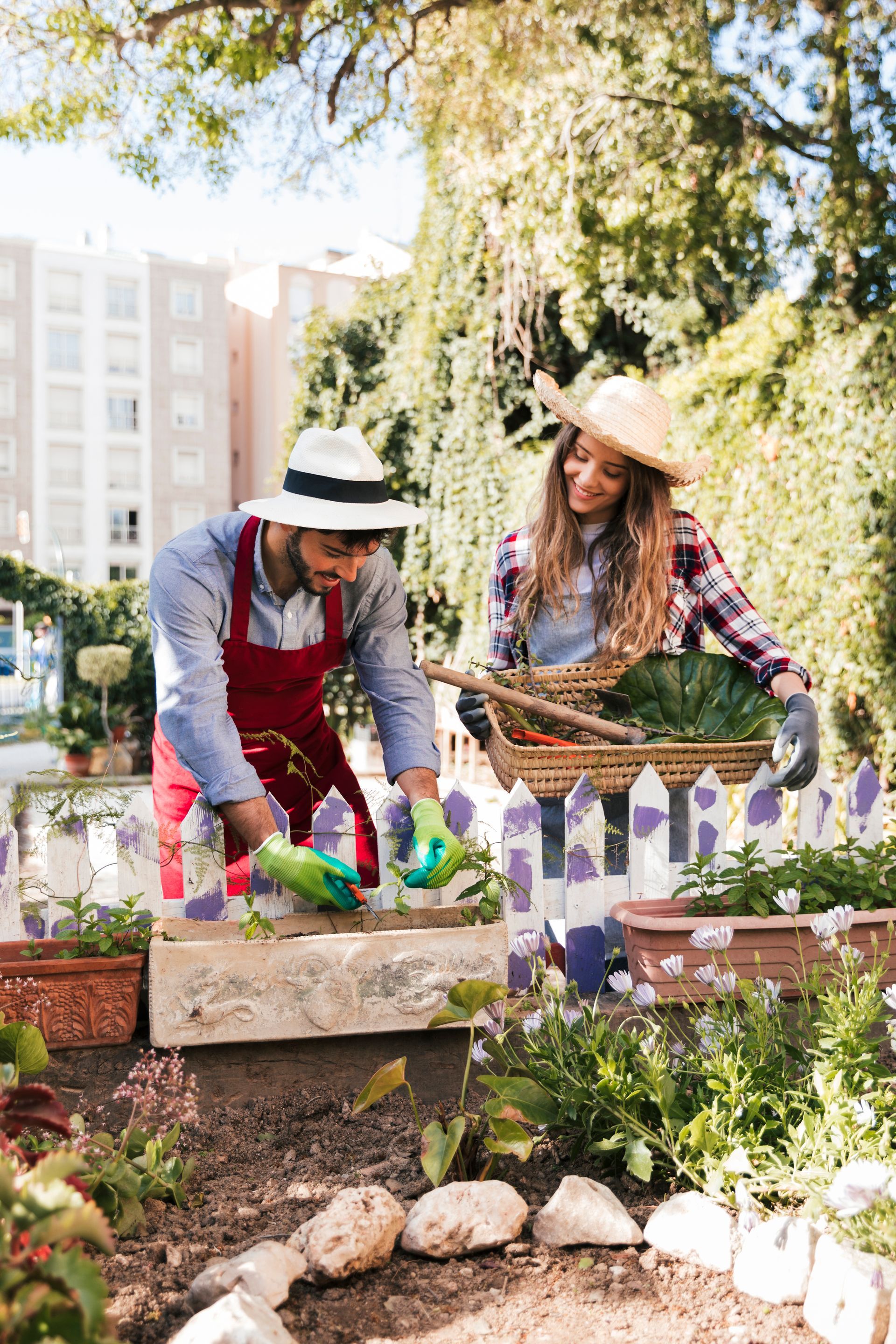 Diseño de jardines y mantenimiento - Servicios Ladoinsa