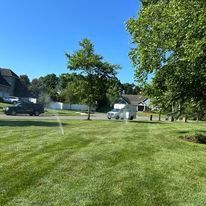 Lush green lawn with a car, trees, and houses under a bright blue sky.