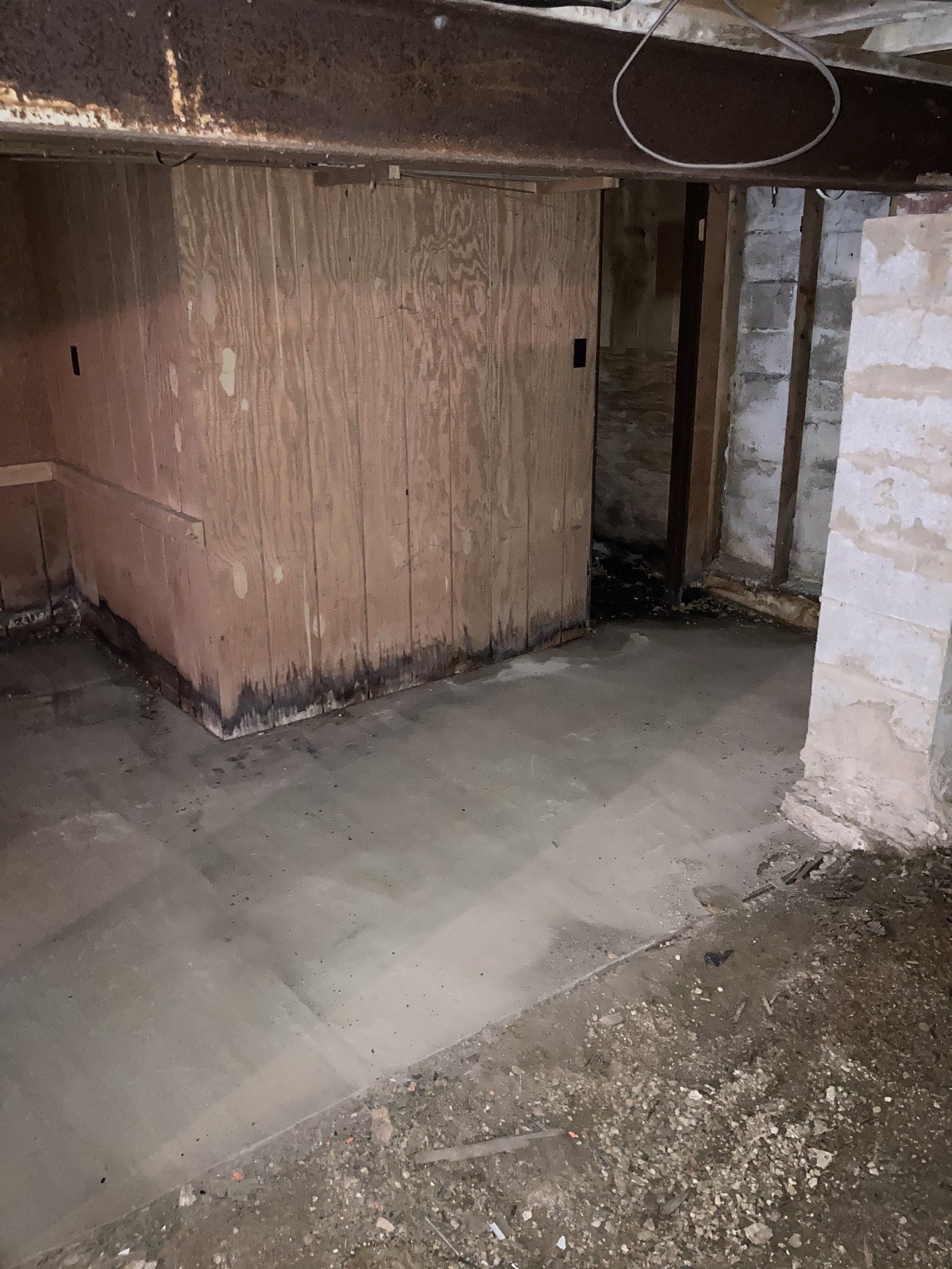 A basement with a concrete floor and a wooden wall.