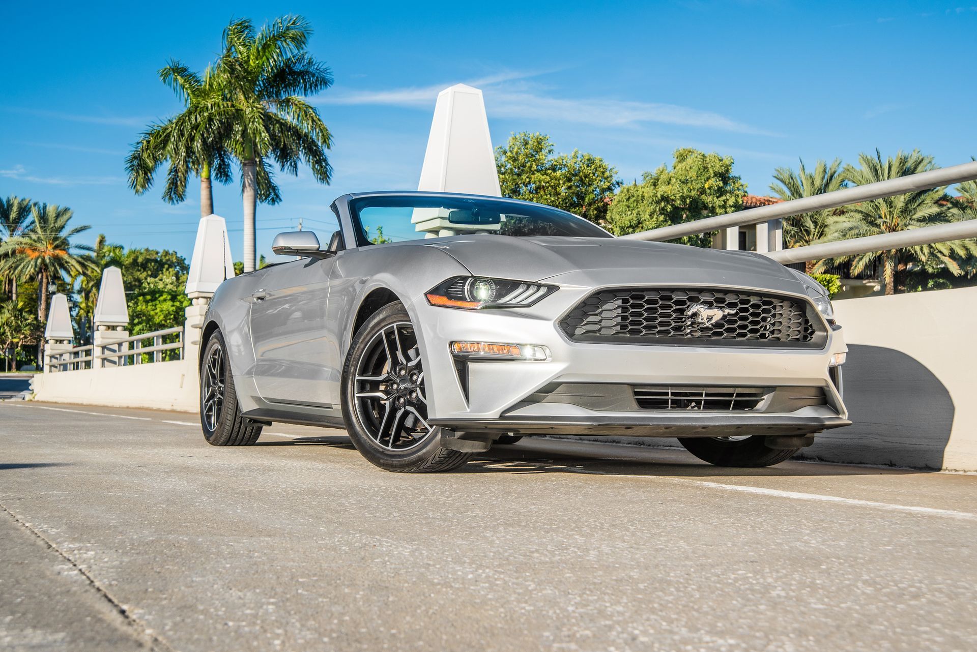 Ford Mustang Silver Rental