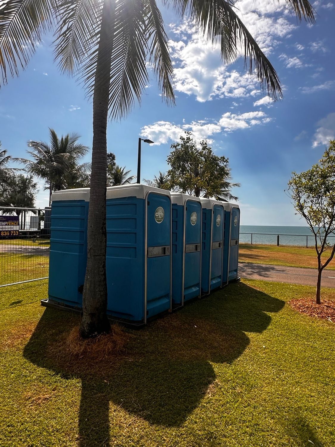 Row of blue portable toilets under palm trees near a beachfront park on a sunny day