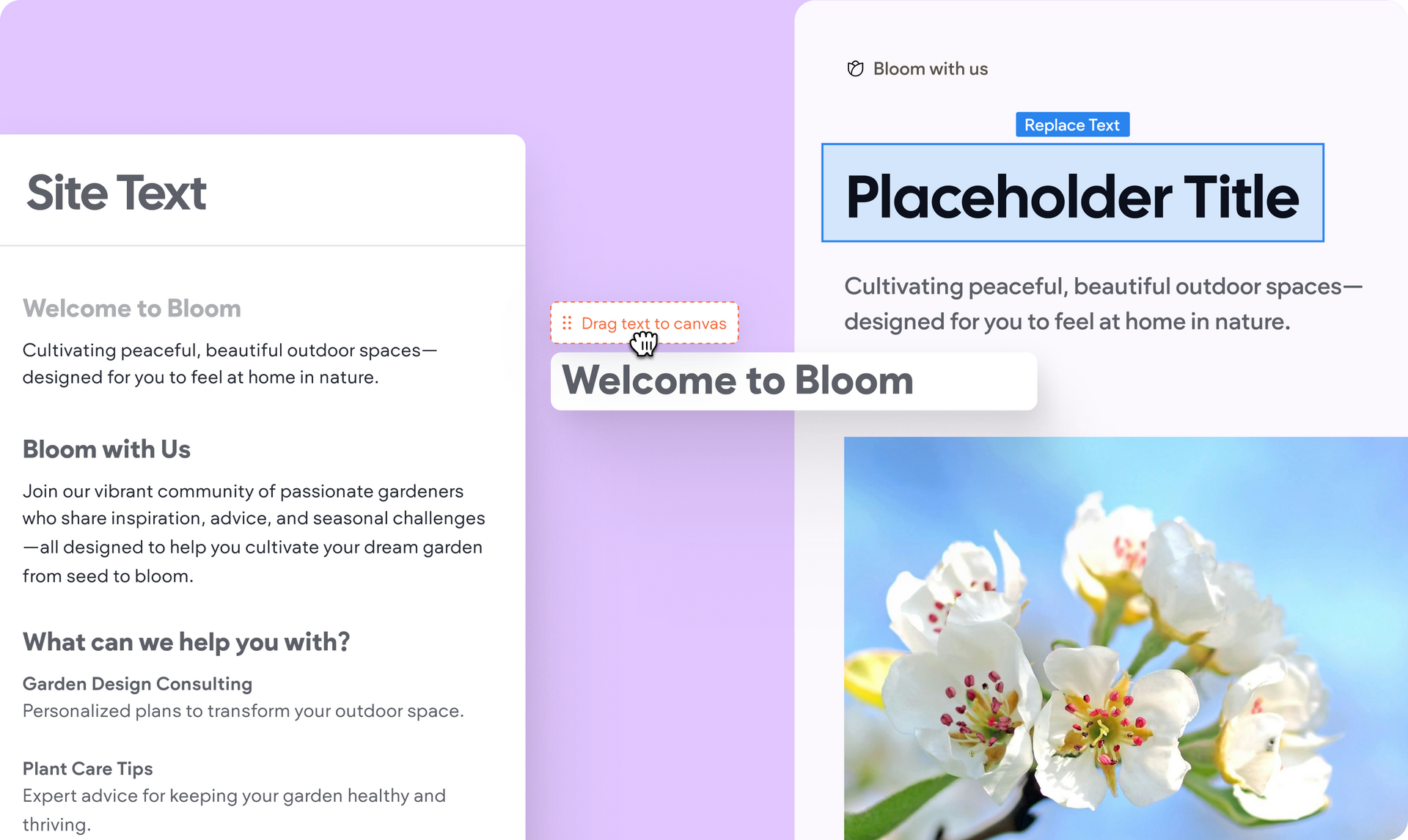 A screenshot of a website that says 
