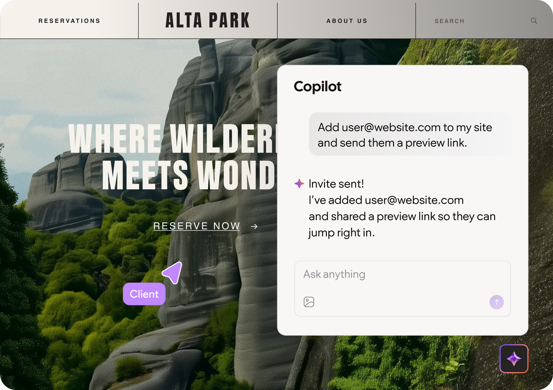 Website with a Copilot panel. Panel requests adding user@website.com to site and sharing a preview link.