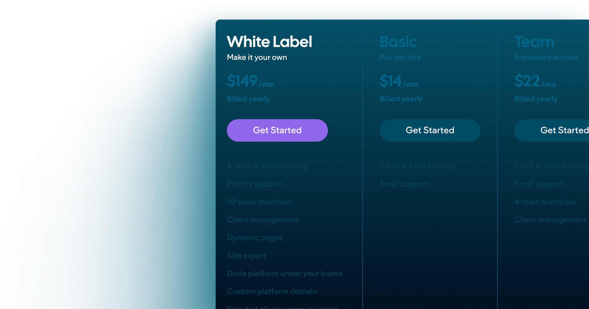A screenshot of a pricing table for white label.