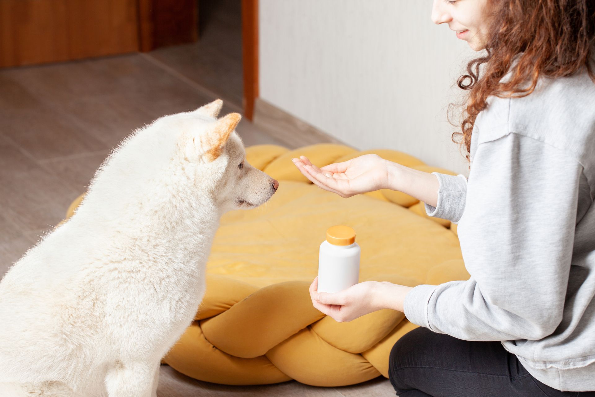 A woman is kneeling down next to a white dog and giving it a treat.