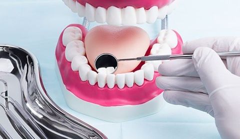 Family Dentistry — Teeth Model in Brownsburg, IN