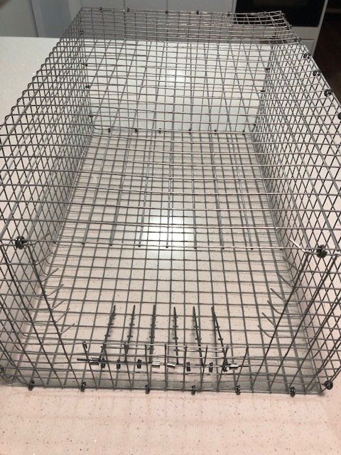 Pigeon trap upside down