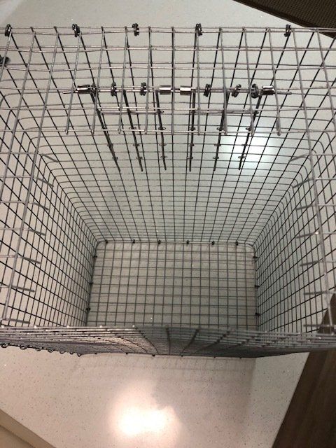 Pigeon trap placd on it's rear