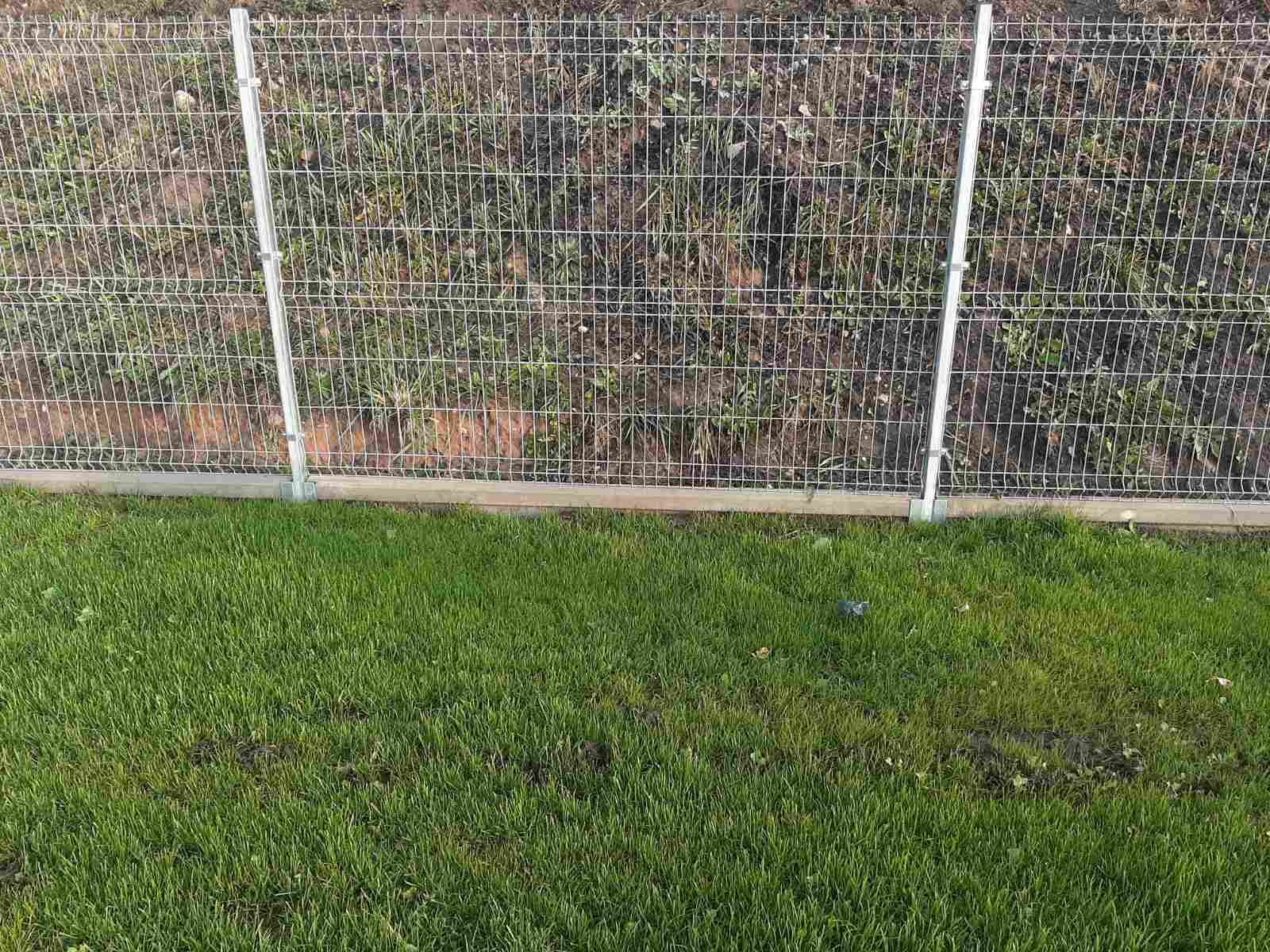 Tvora juosia vešliai žalią žolės lauką.