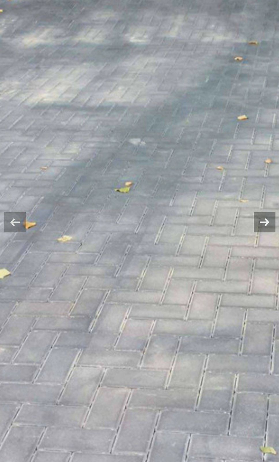 Iš arti plytų važiuojamosios dalies su lapais vaizdas.