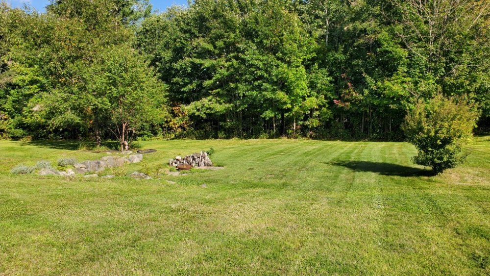 A large lush green field surrounded by trees on a sunny day.
