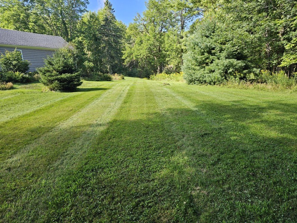 A lush green lawn with trees in the background and a house in the background.