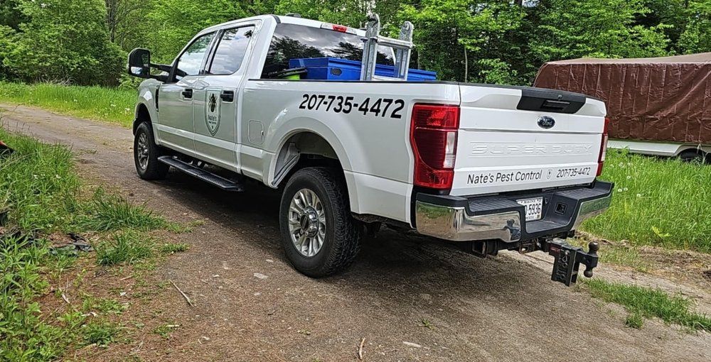 A yellow and black lawn mower is sitting on top of a lush green lawn.