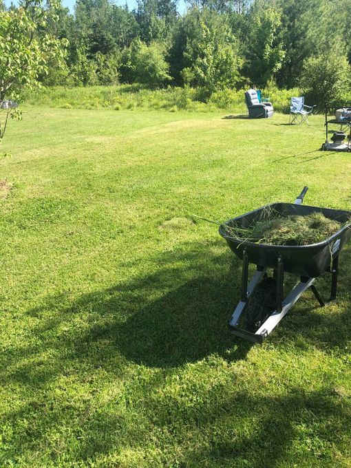 A wheelbarrow filled with grass is sitting in the middle of a lush green field.