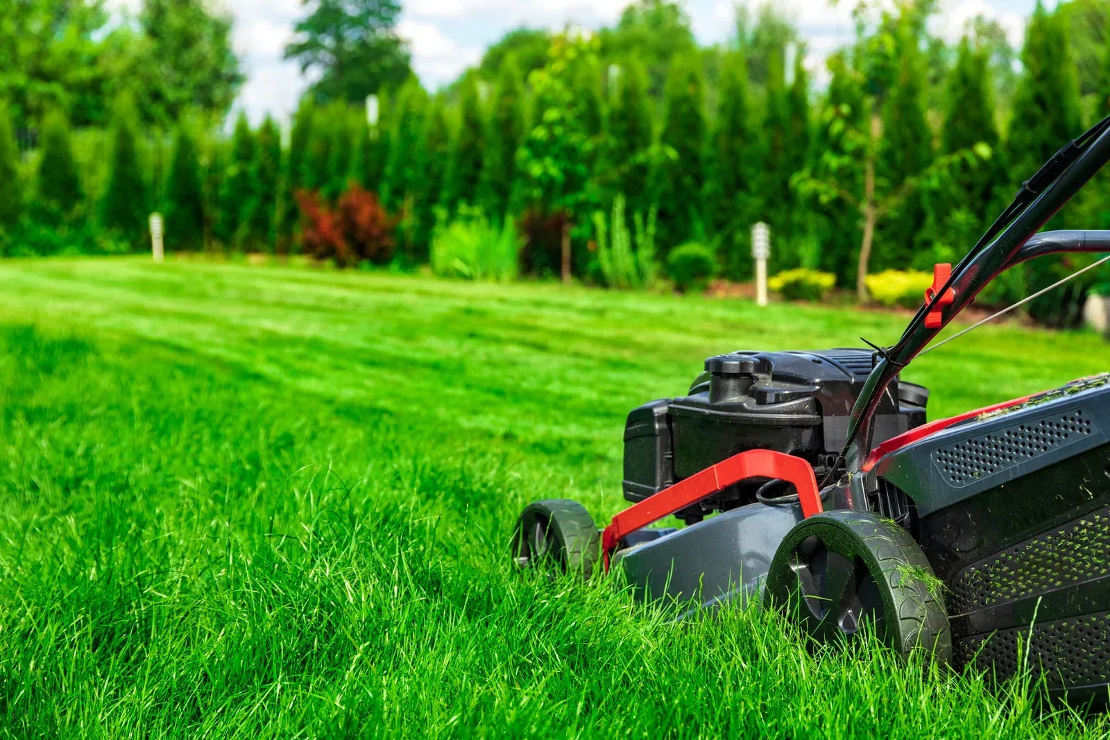 A lawn mower is cutting a lush green lawn.