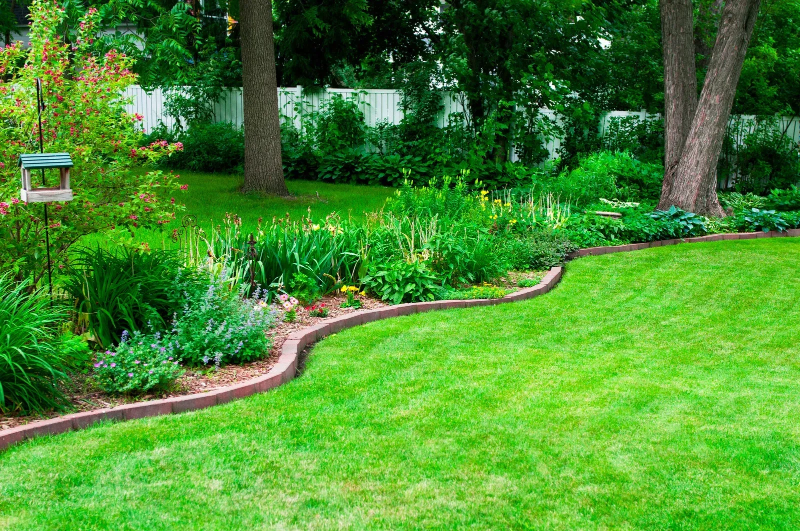 A lush green lawn with a bird feeder in the middle of it.