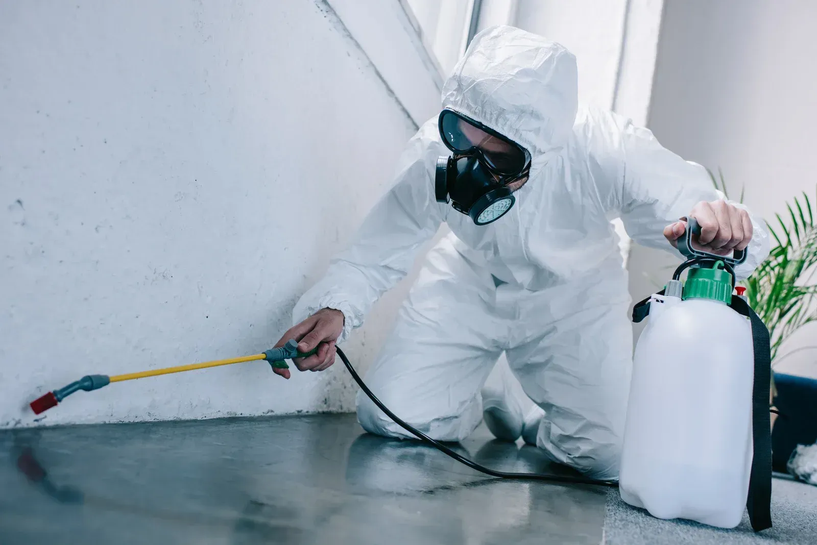 A man in a protective suit is spraying a wall with a sprayer.