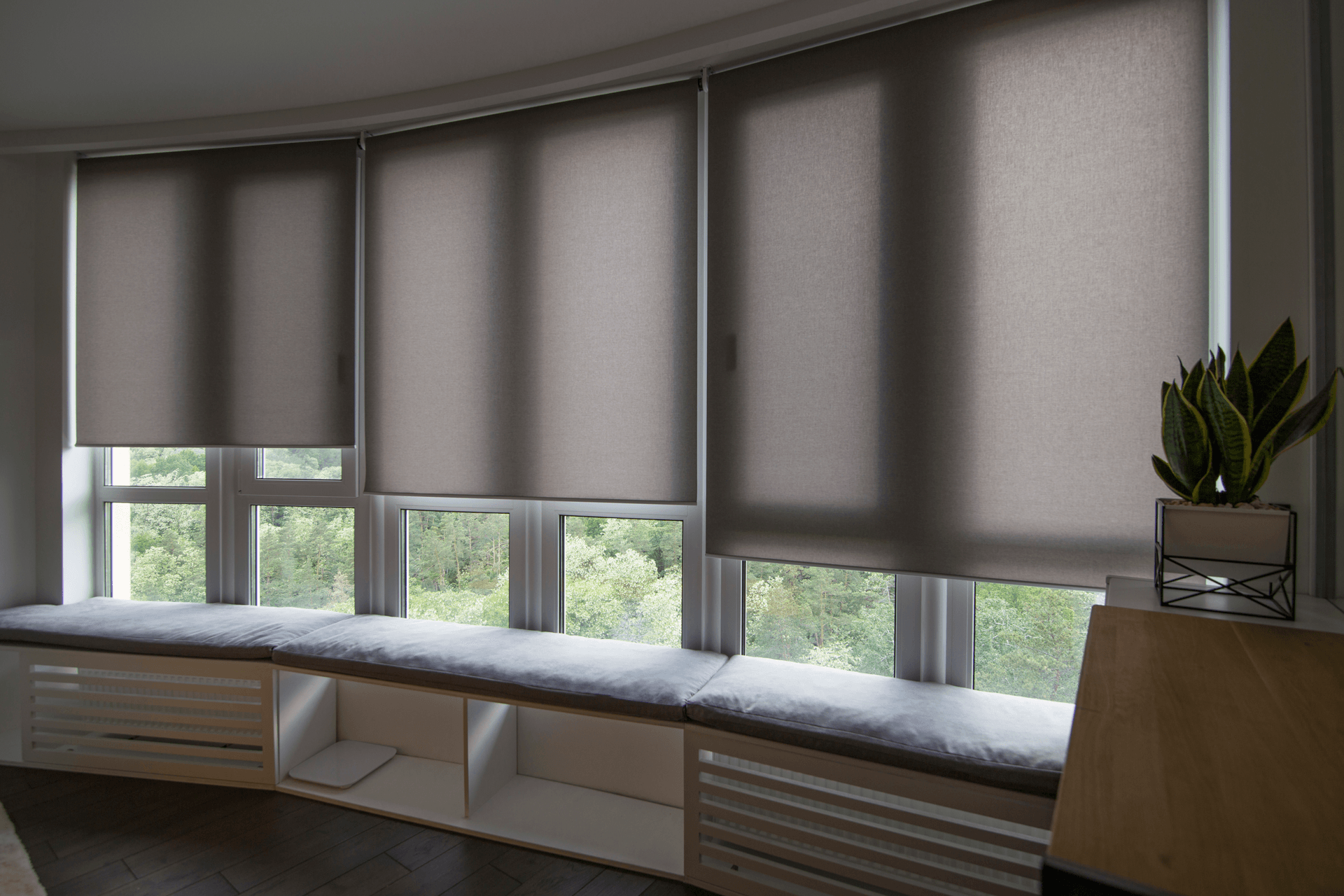 roller-shades