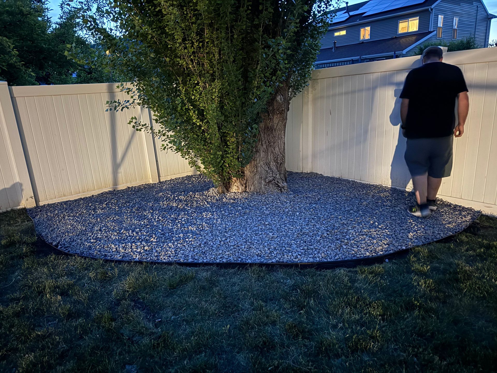 Tree base covered in gravel, edged with black, beside a white fence and a person in a backyard.