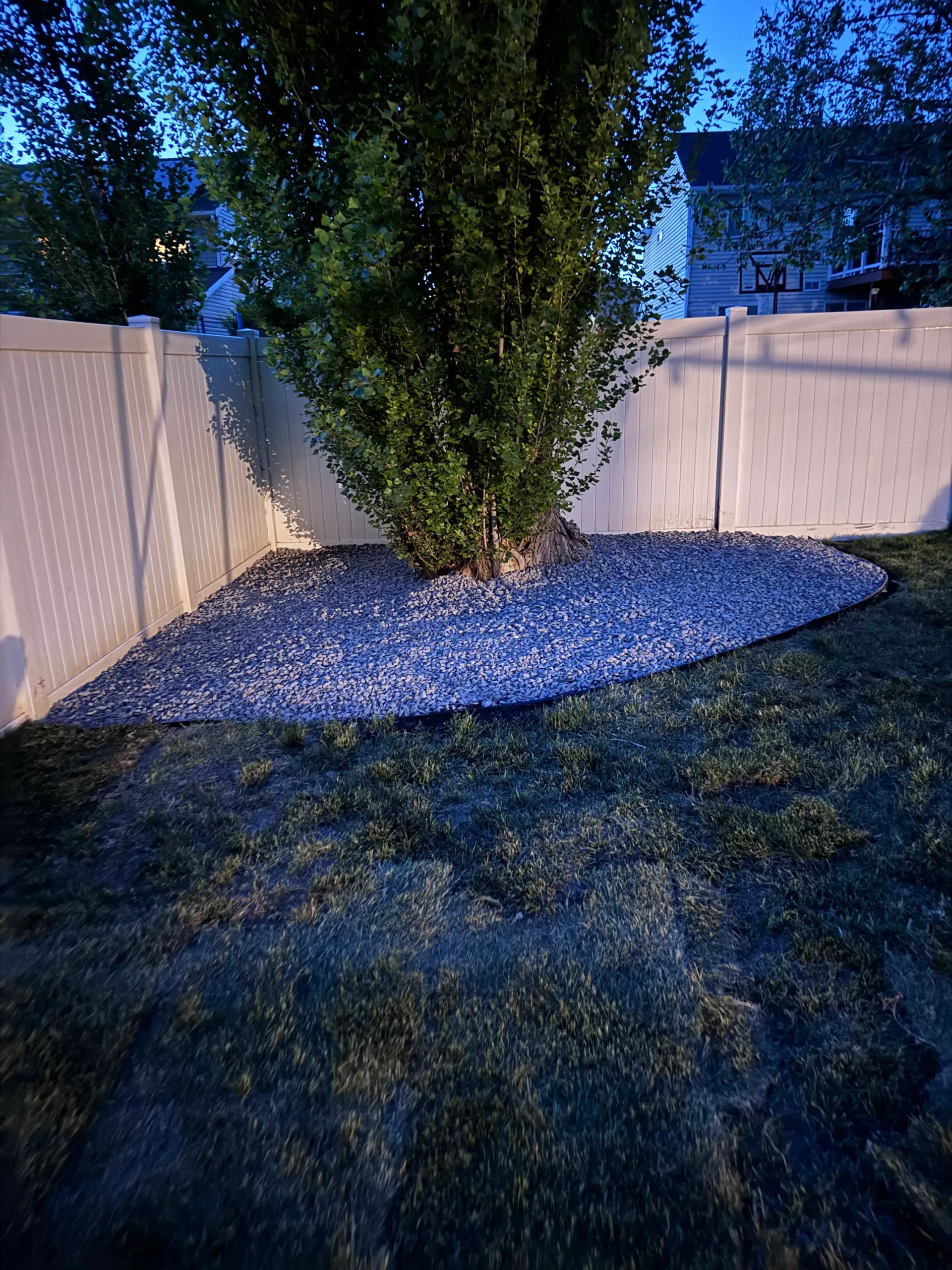 Gravel bed surrounds a tree in a backyard, with a white fence behind it.