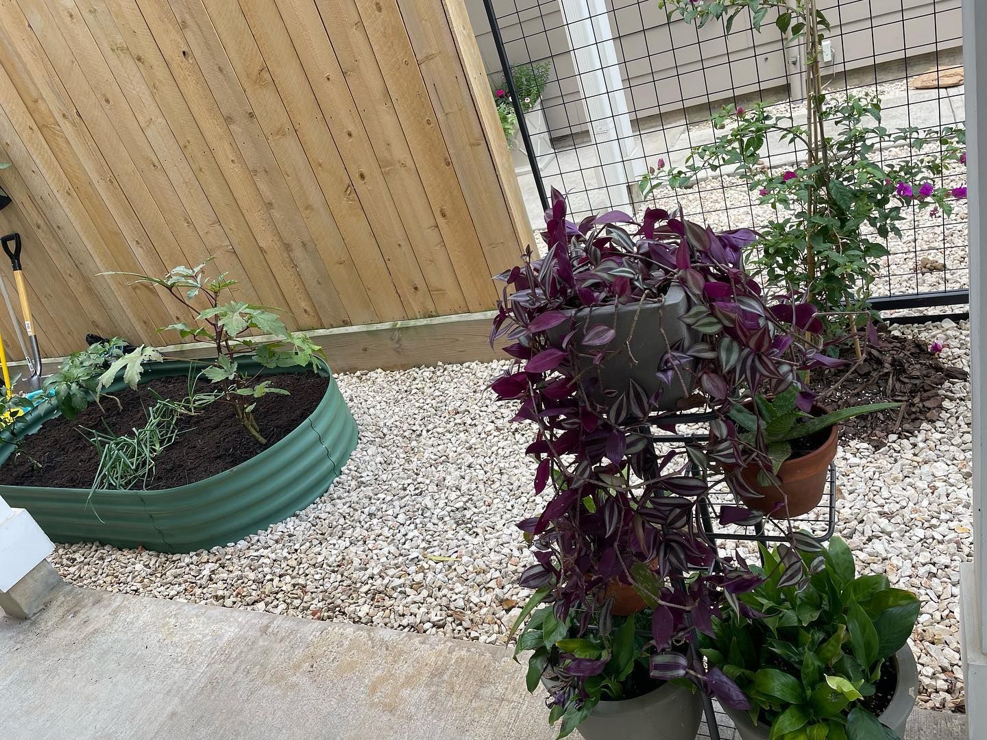 Raised garden bed and potted plants on a gravel surface next to a wooden fence.