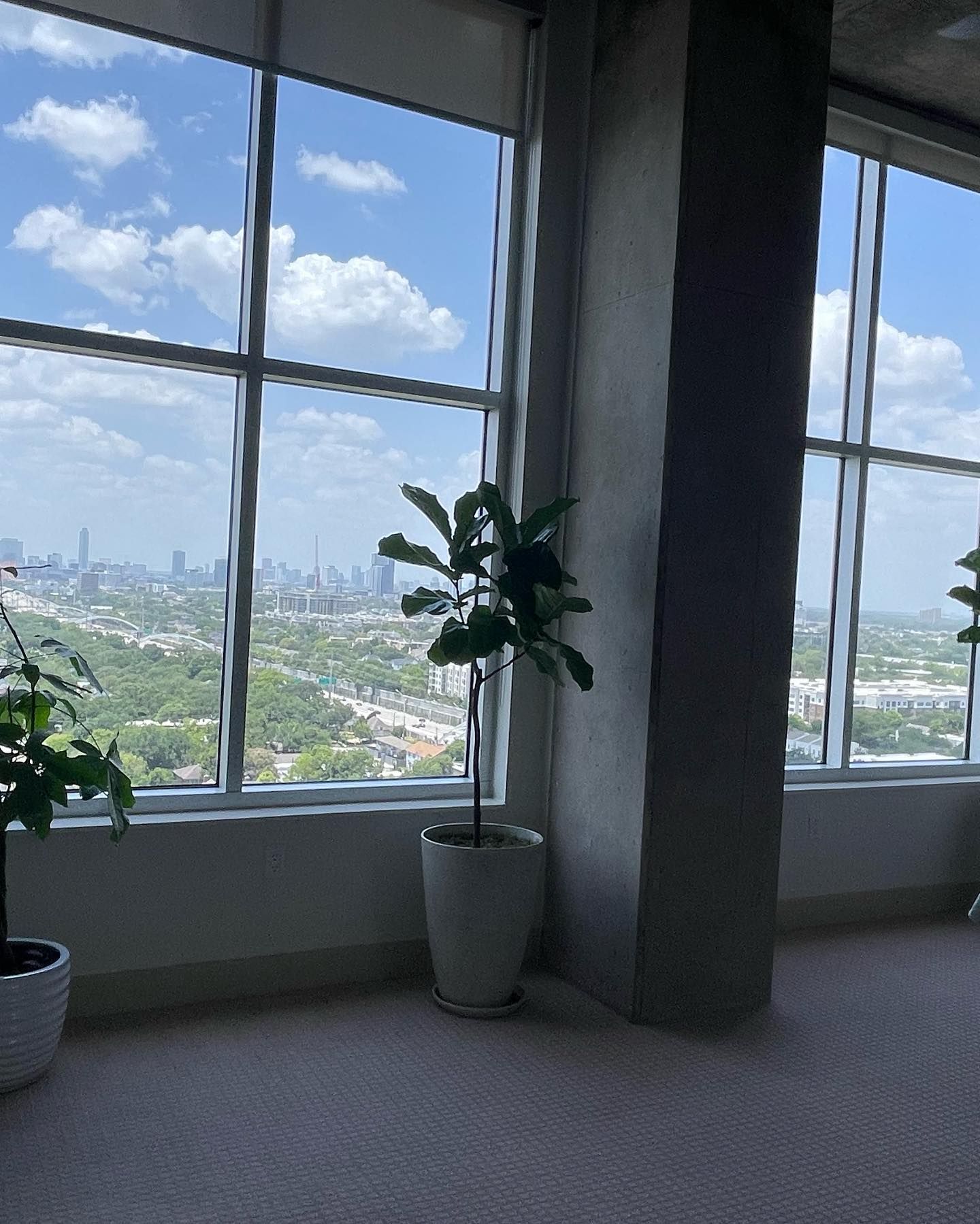 Interior room with large windows overlooking a city skyline, potted plants, and a structural column.