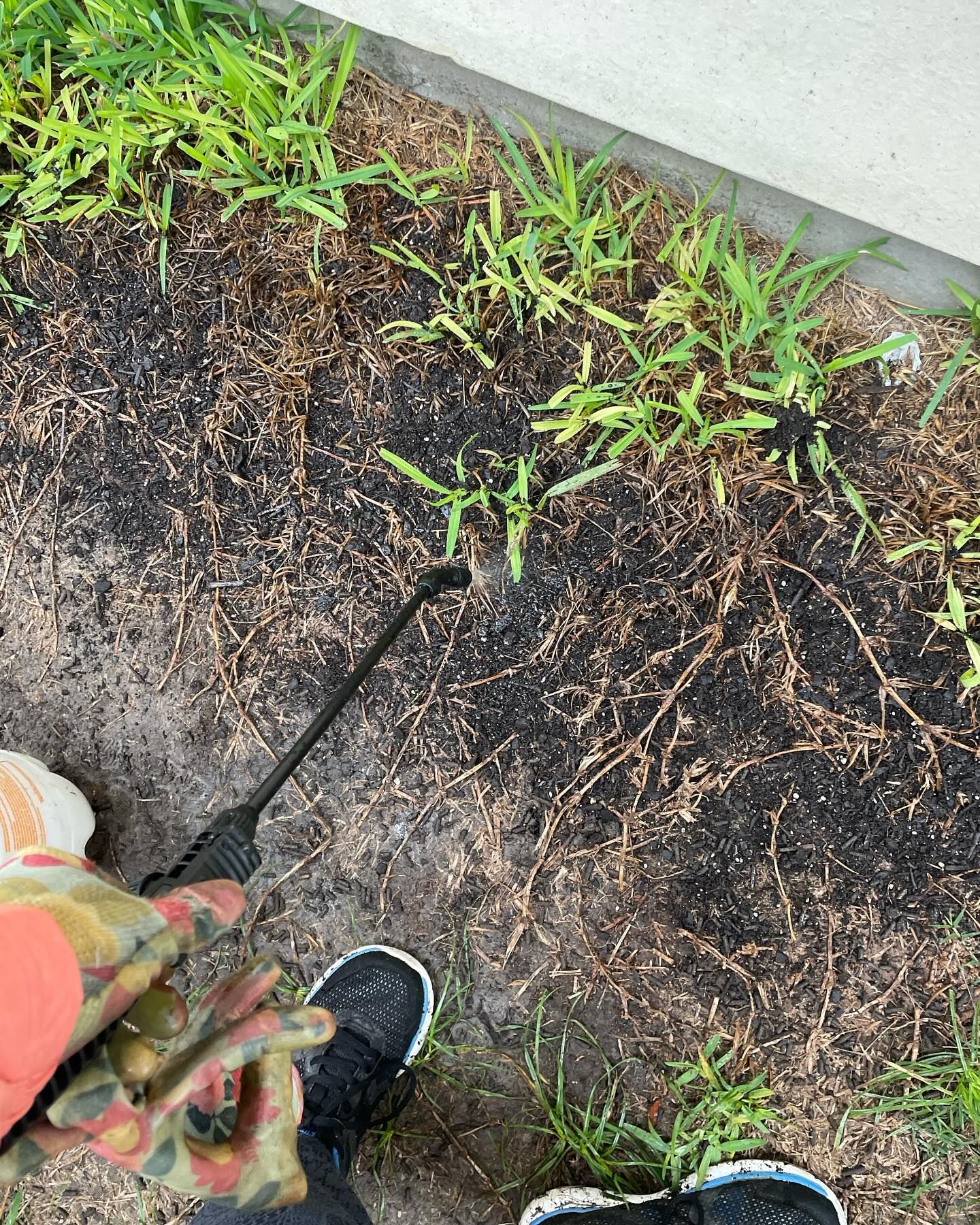 Person spraying herbicide on weeds near a building's edge; soil is dark, some grass visible.