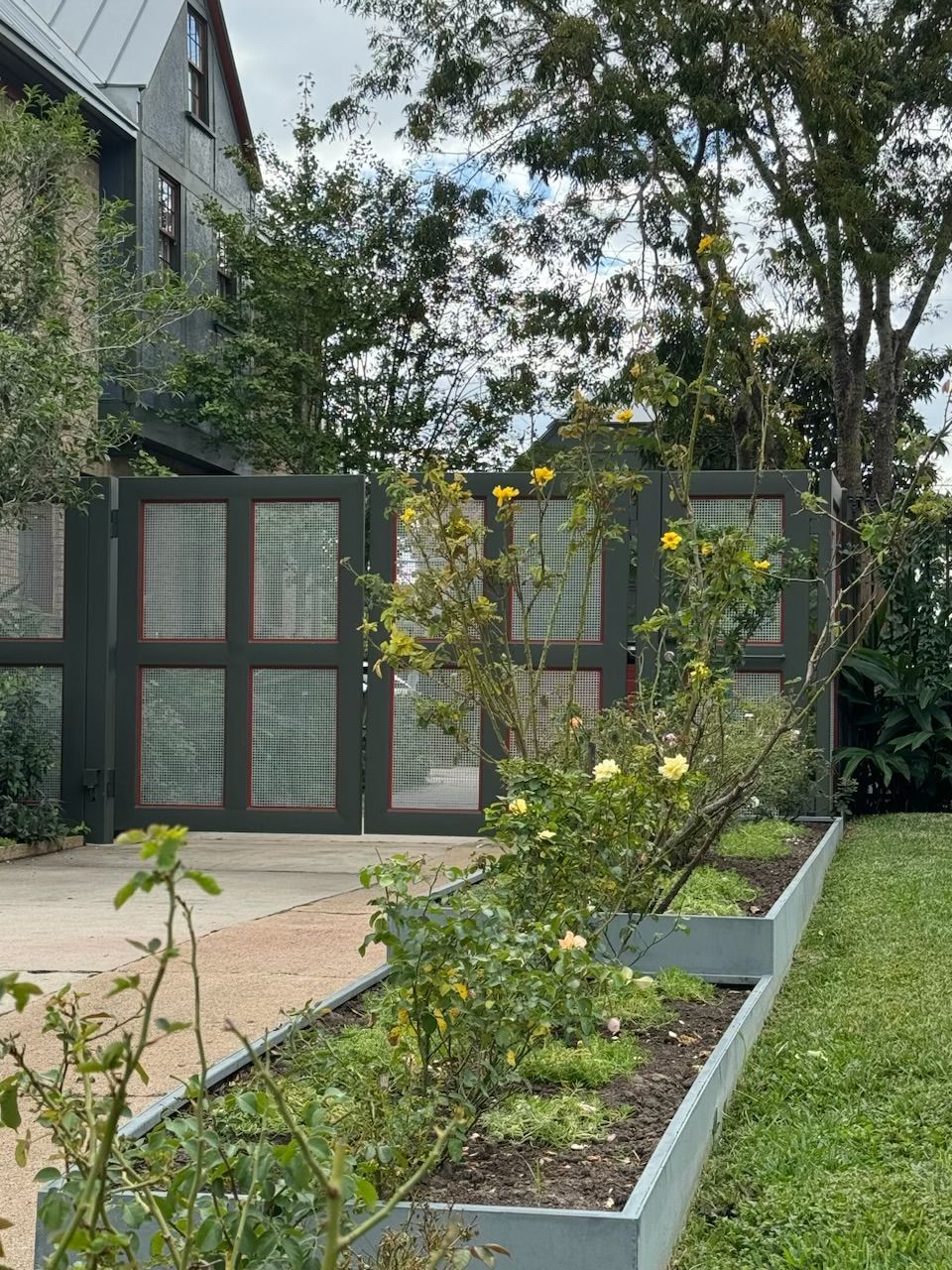 Dark gray gate with glass panels in front of a house, flanked by a raised garden bed with yellow flowers.
