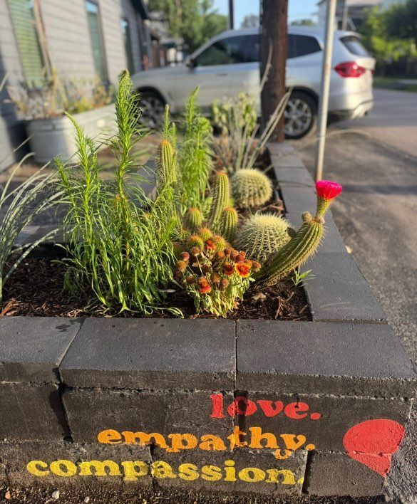 Cactus garden in a black brick planter with 